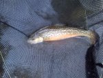 IMG-20130719-00069.jpg