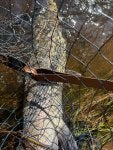 IMG_6096.jpeg