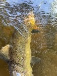 IMG_6613.jpeg